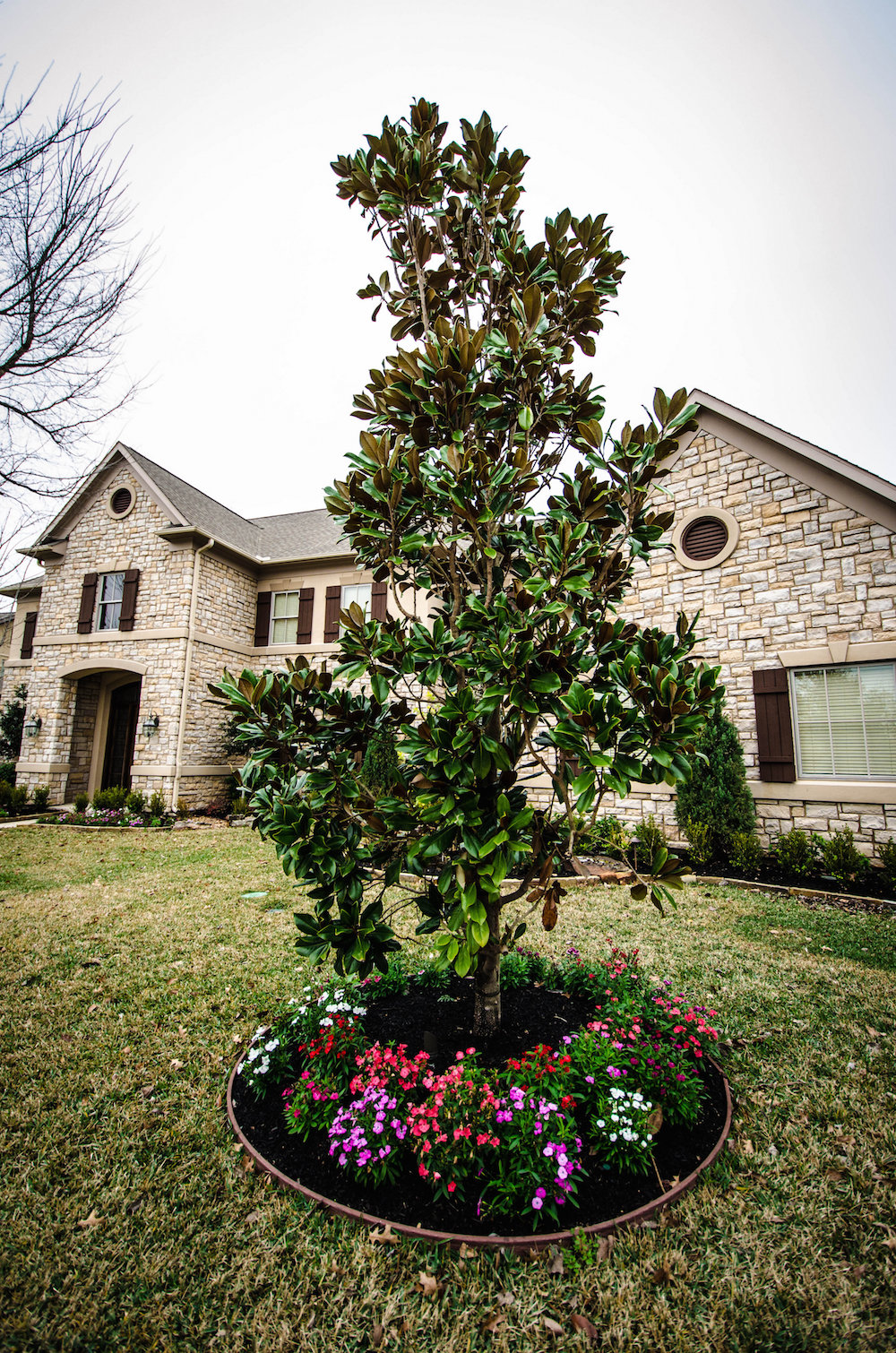 Gallery Watt Landscaping