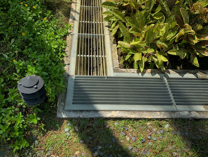 watt landscaping landscape site drainage intro