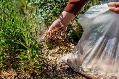 watt landscaping mulch and bed maintenance