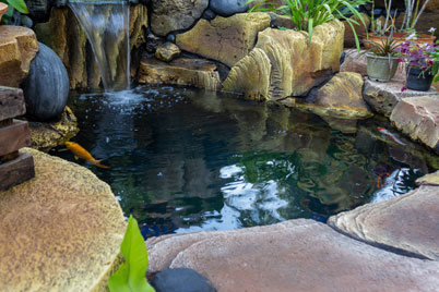 watt landscaping natural ponds and water gardens