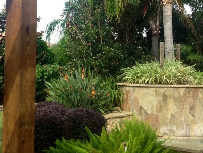 watt landscaping professional landscape installation houston tx