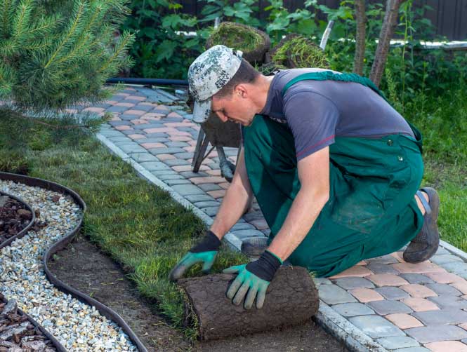 watt landscaping professional landscape services