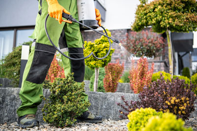 watt landscaping weed and pest control